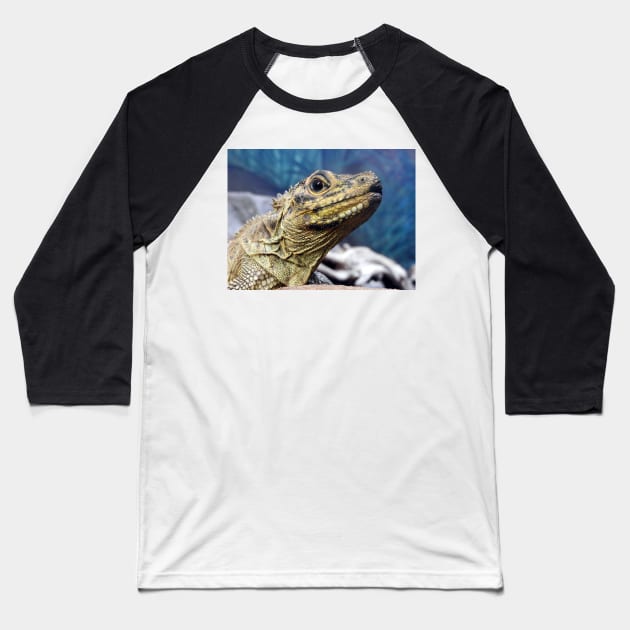 Sailfin Lizard Baseball T-Shirt by kirstybush